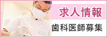 歯科医師募集